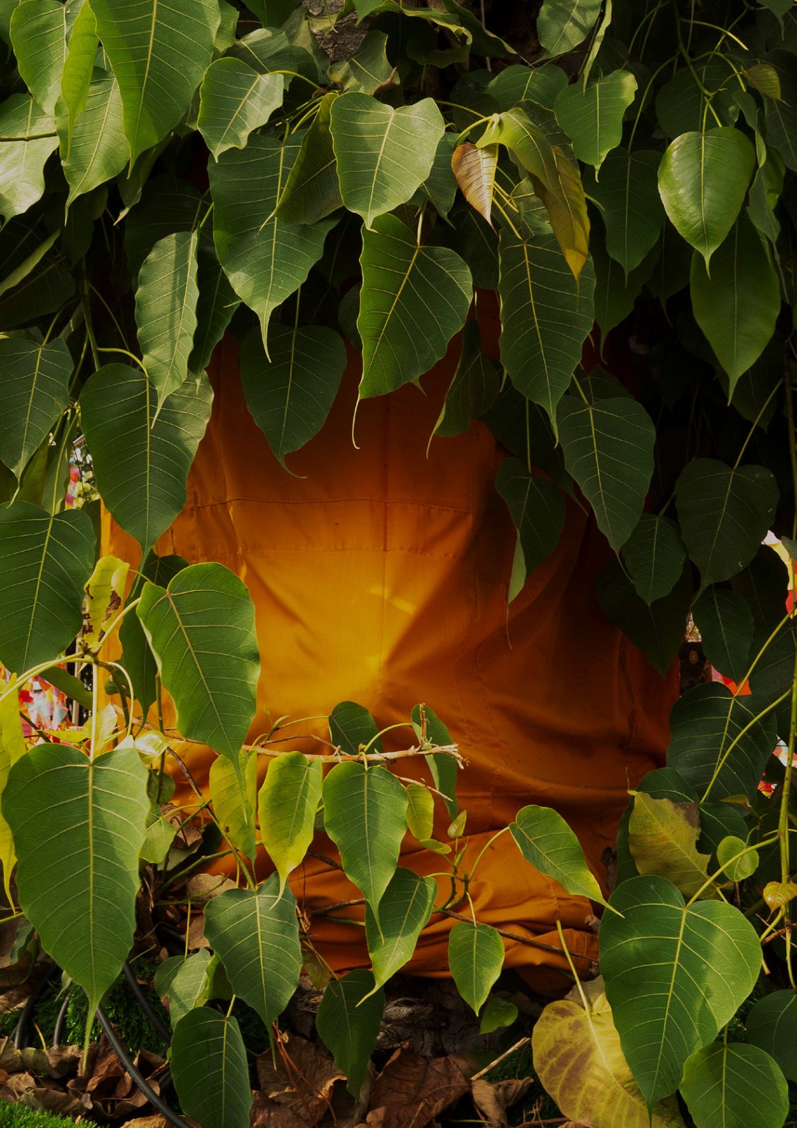 Portfolio — 第 7 页