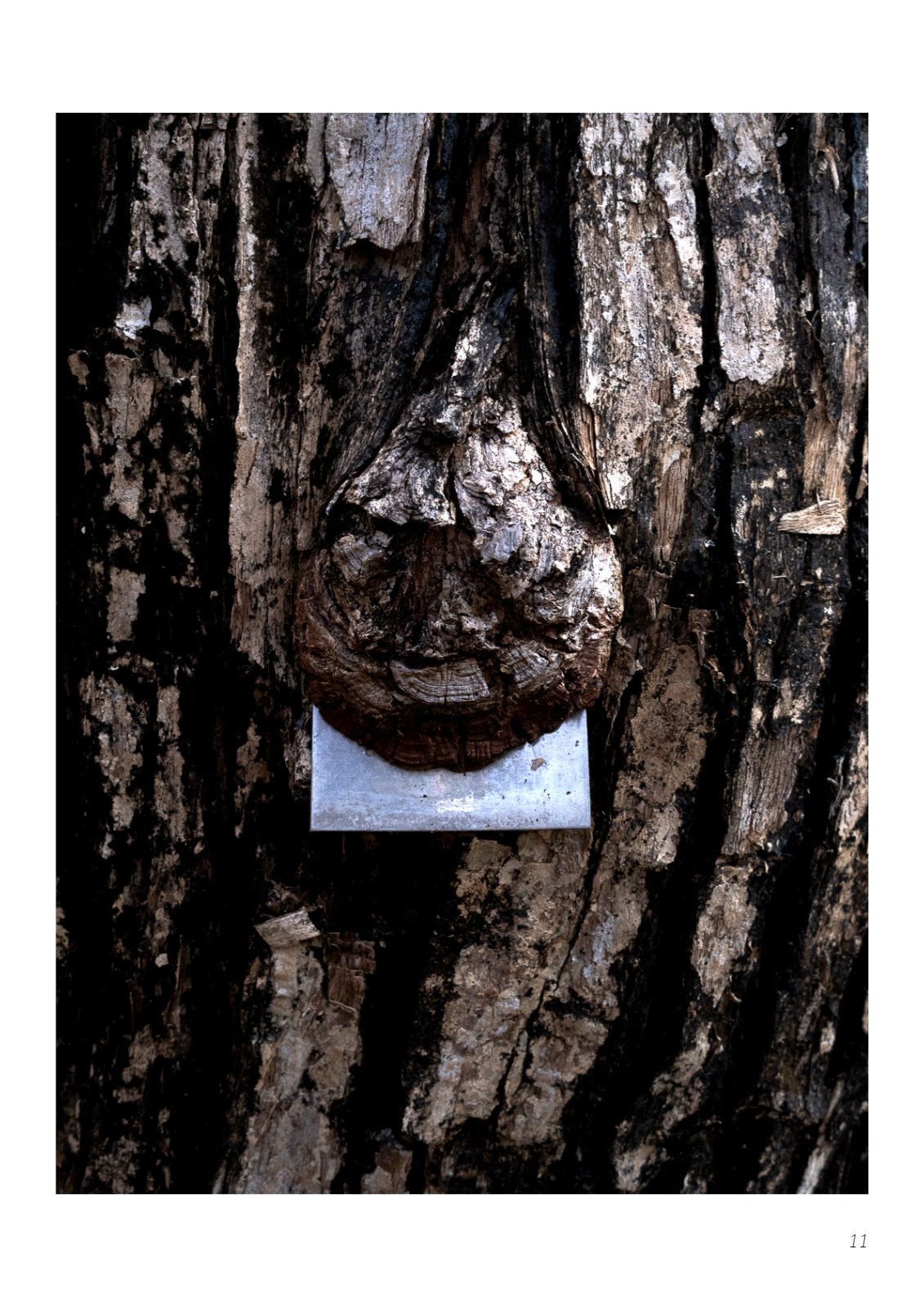 Portfolio — 第 11 页