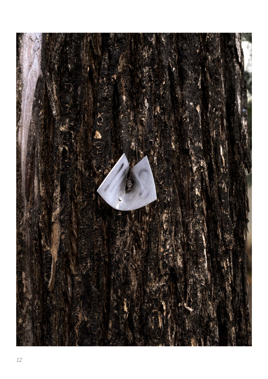 Portfolio — 第 12 页