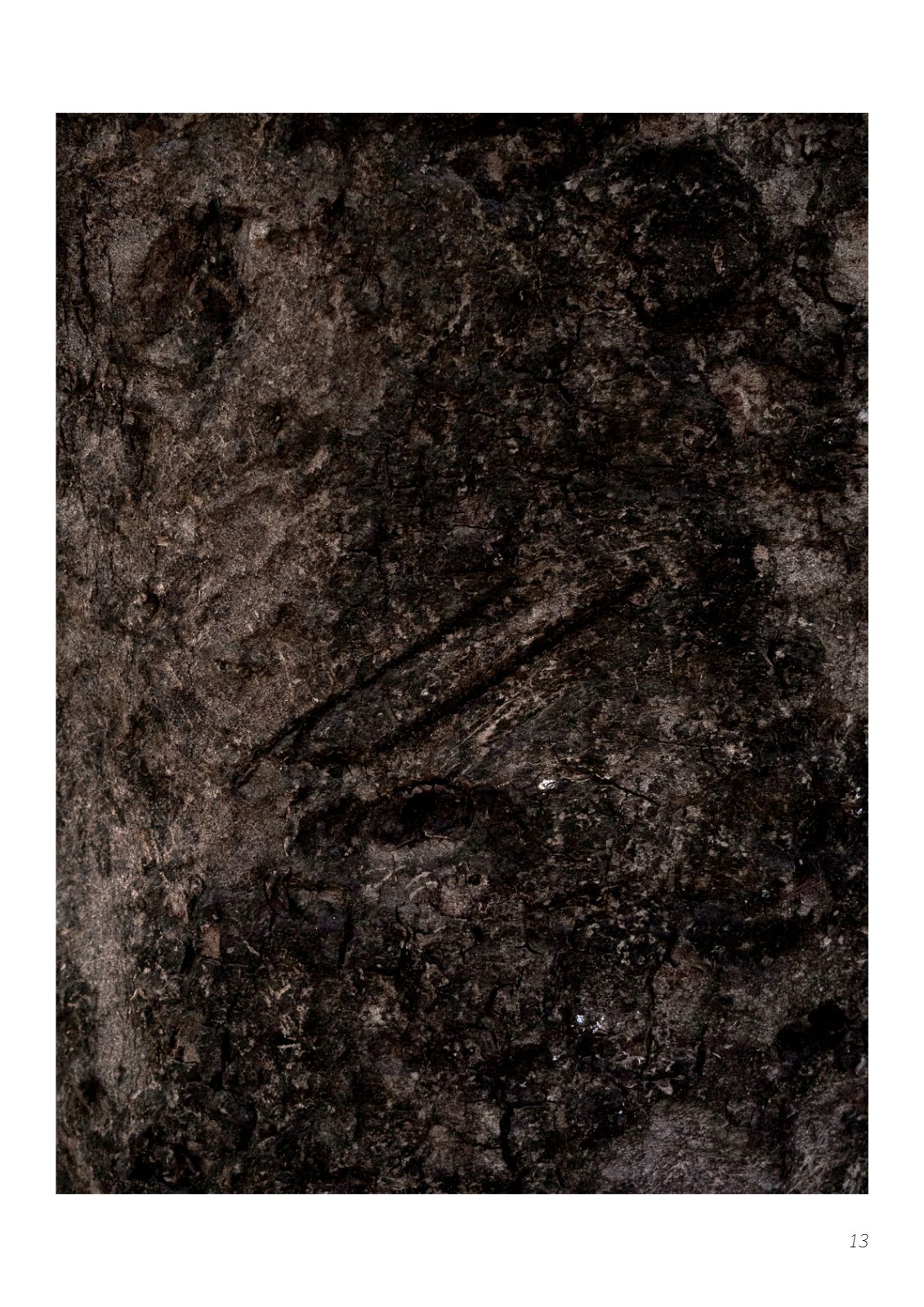 Portfolio — 第 13 页