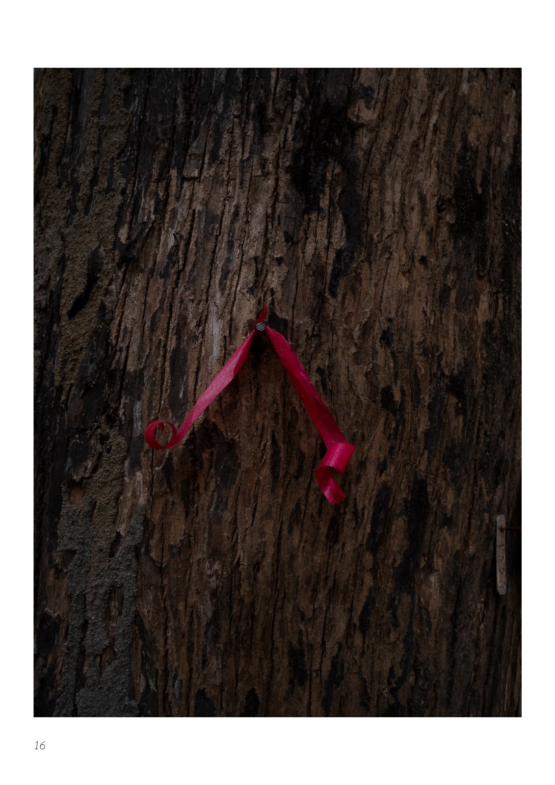 Portfolio — 第 16 页