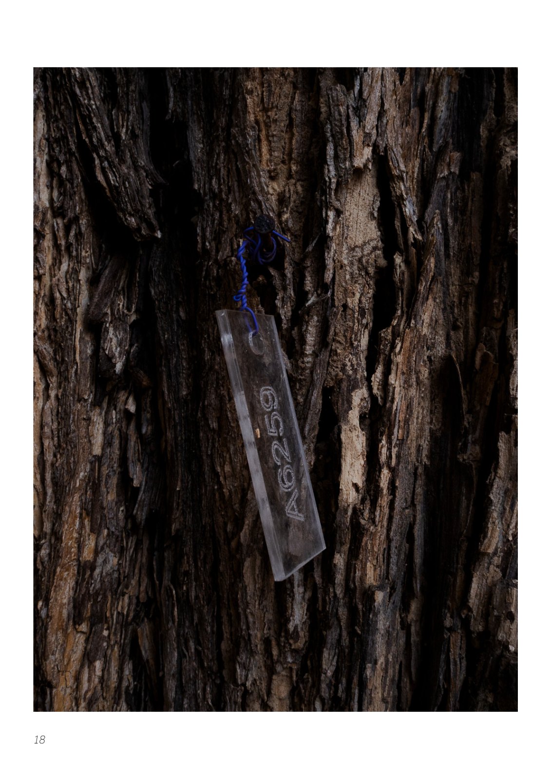 Portfolio — 第 18 页