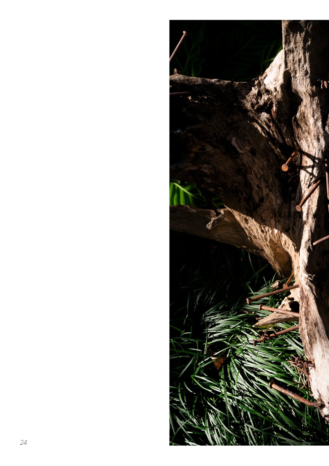 Portfolio — 第 24 页