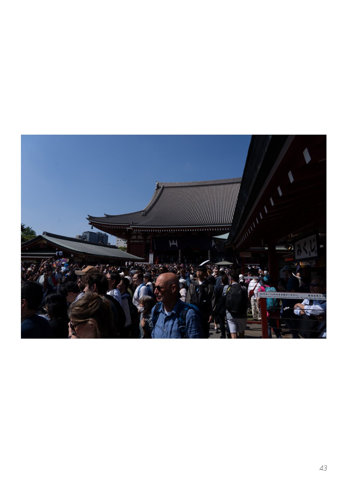 Portfolio — 第 43 页