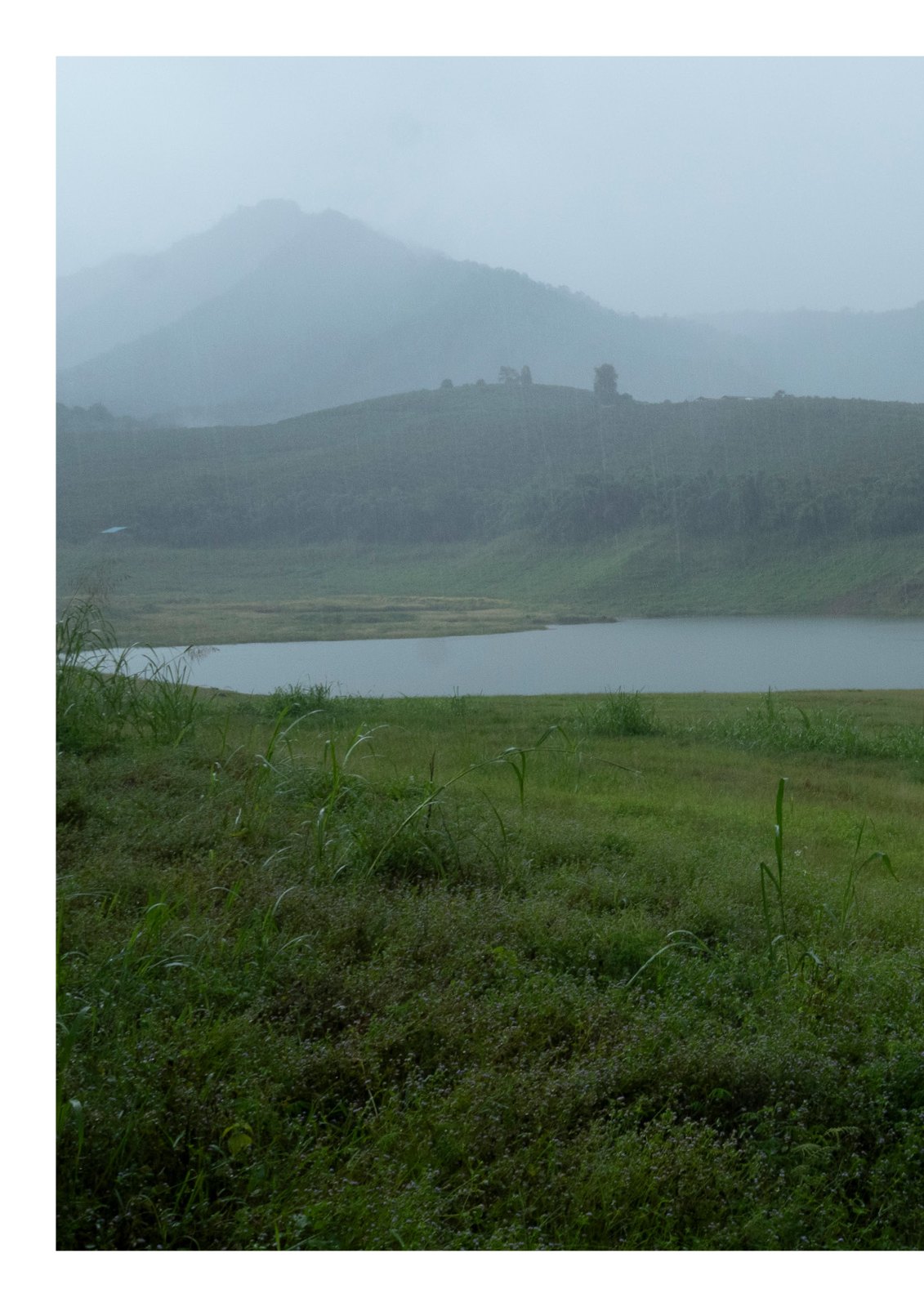 Portfolio — 第 62 页