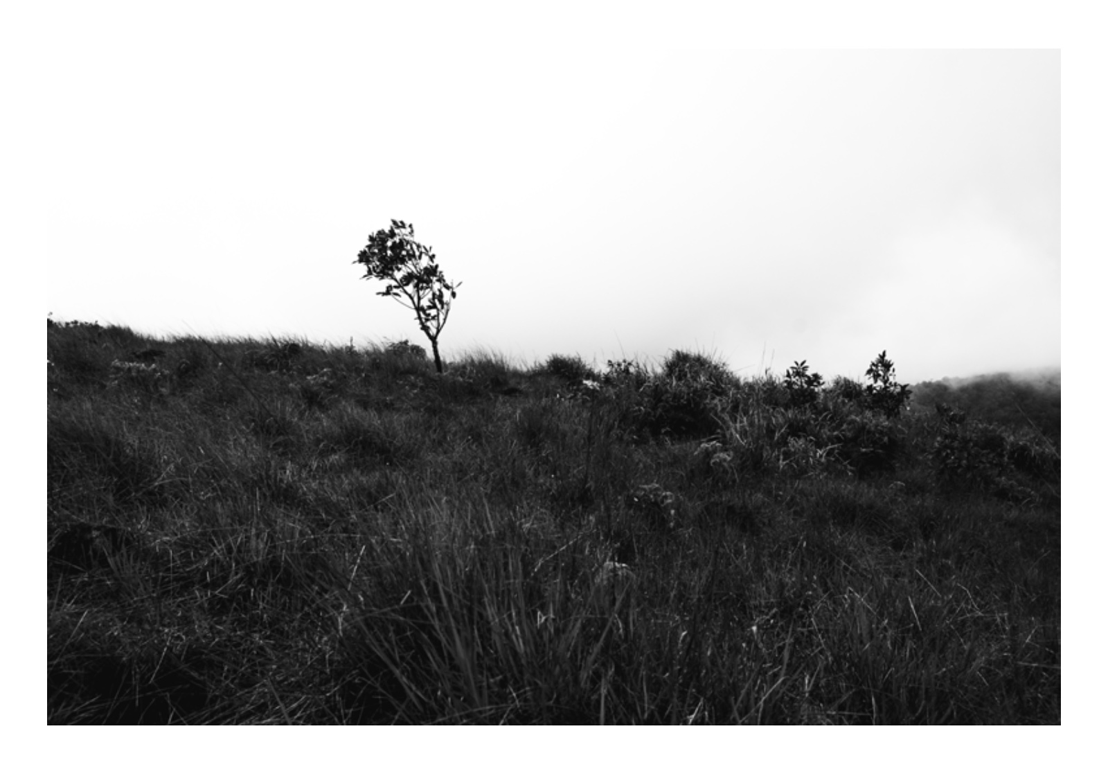 Amoung The Mountains — หน้า 23