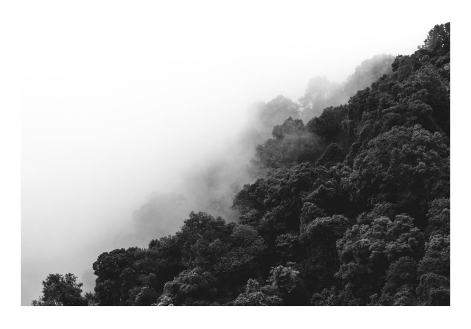 Amoung The Mountains — หน้า 47