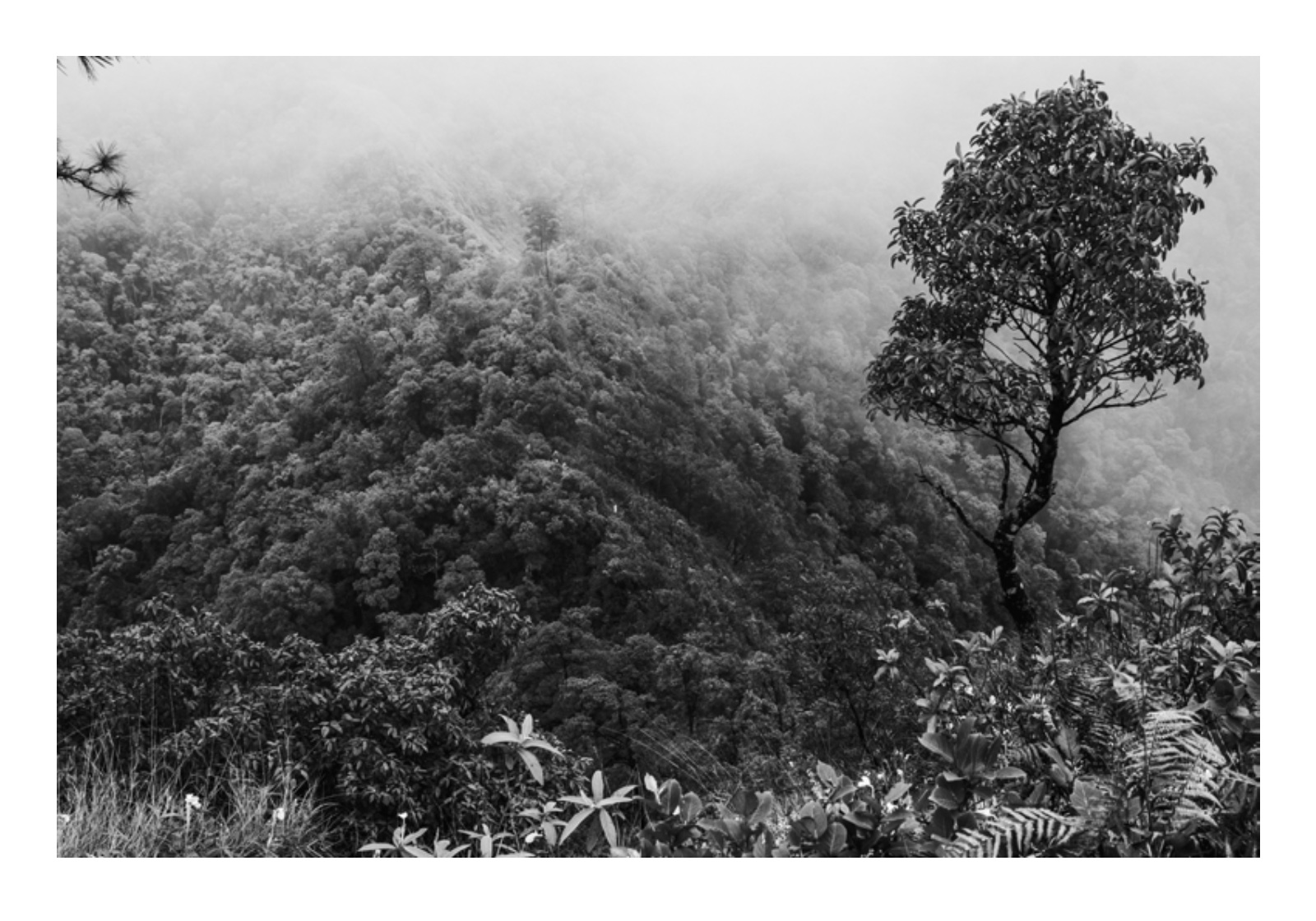 Amoung The Mountains — หน้า 51