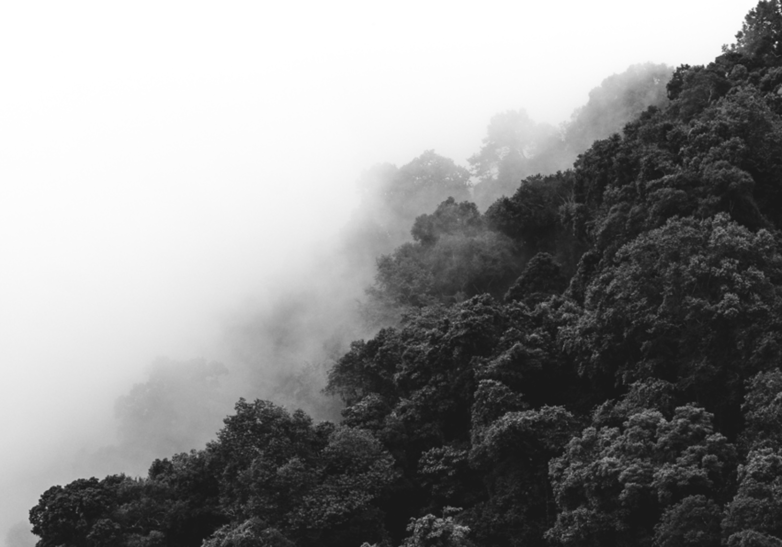 Amoung The Mountains — หน้า 54