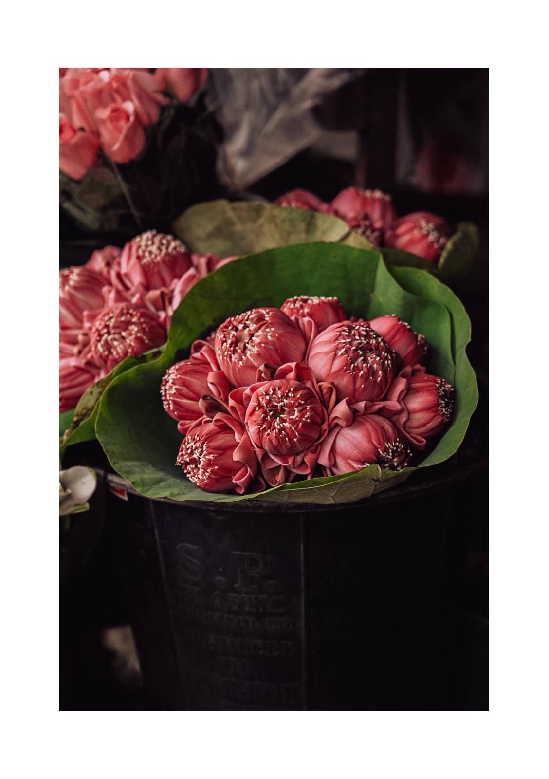 lotus — หน้า 10