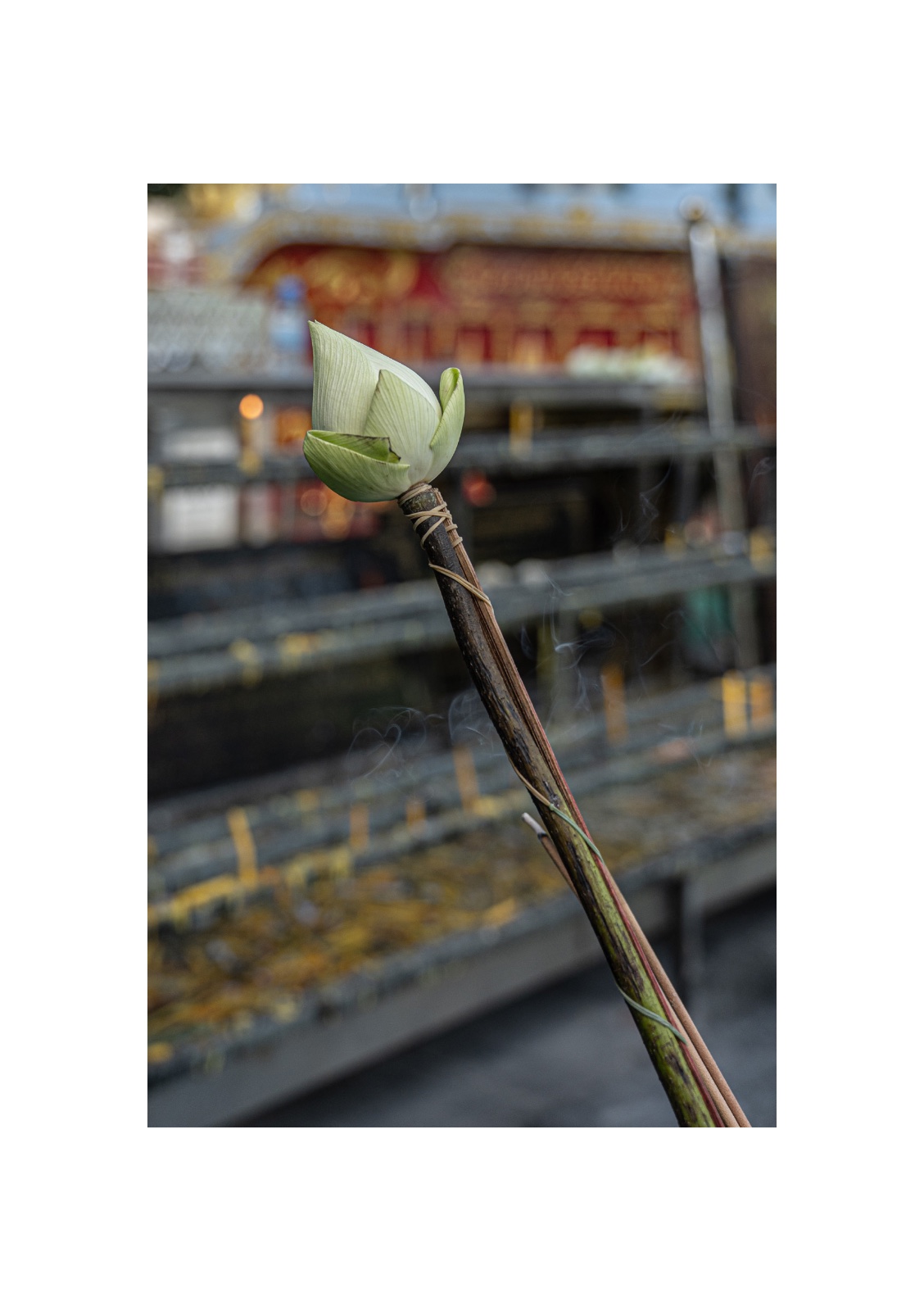 lotus — หน้า 35