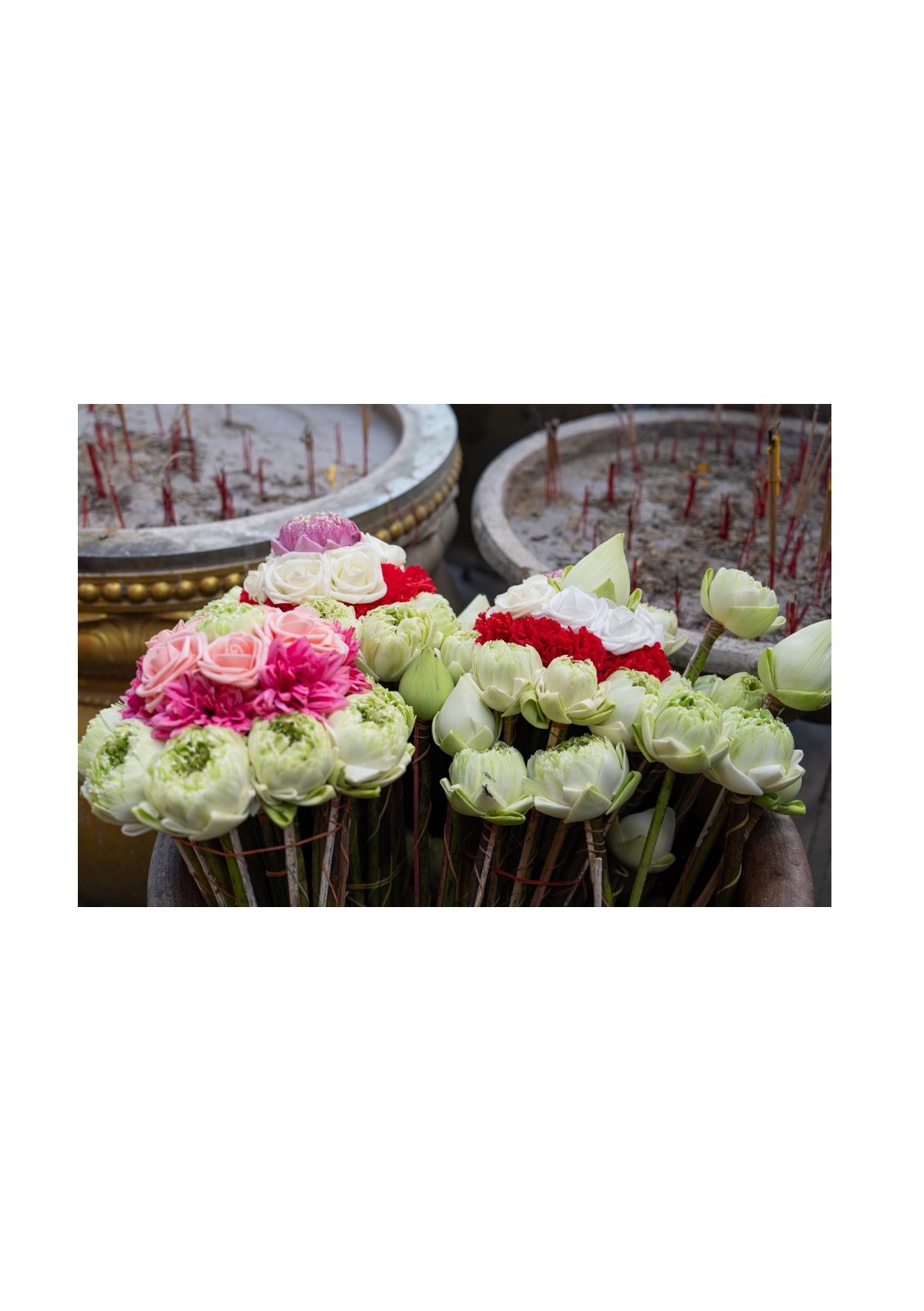 lotus — หน้า 36