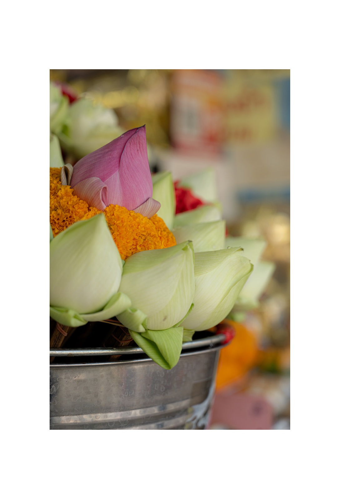 lotus — หน้า 44