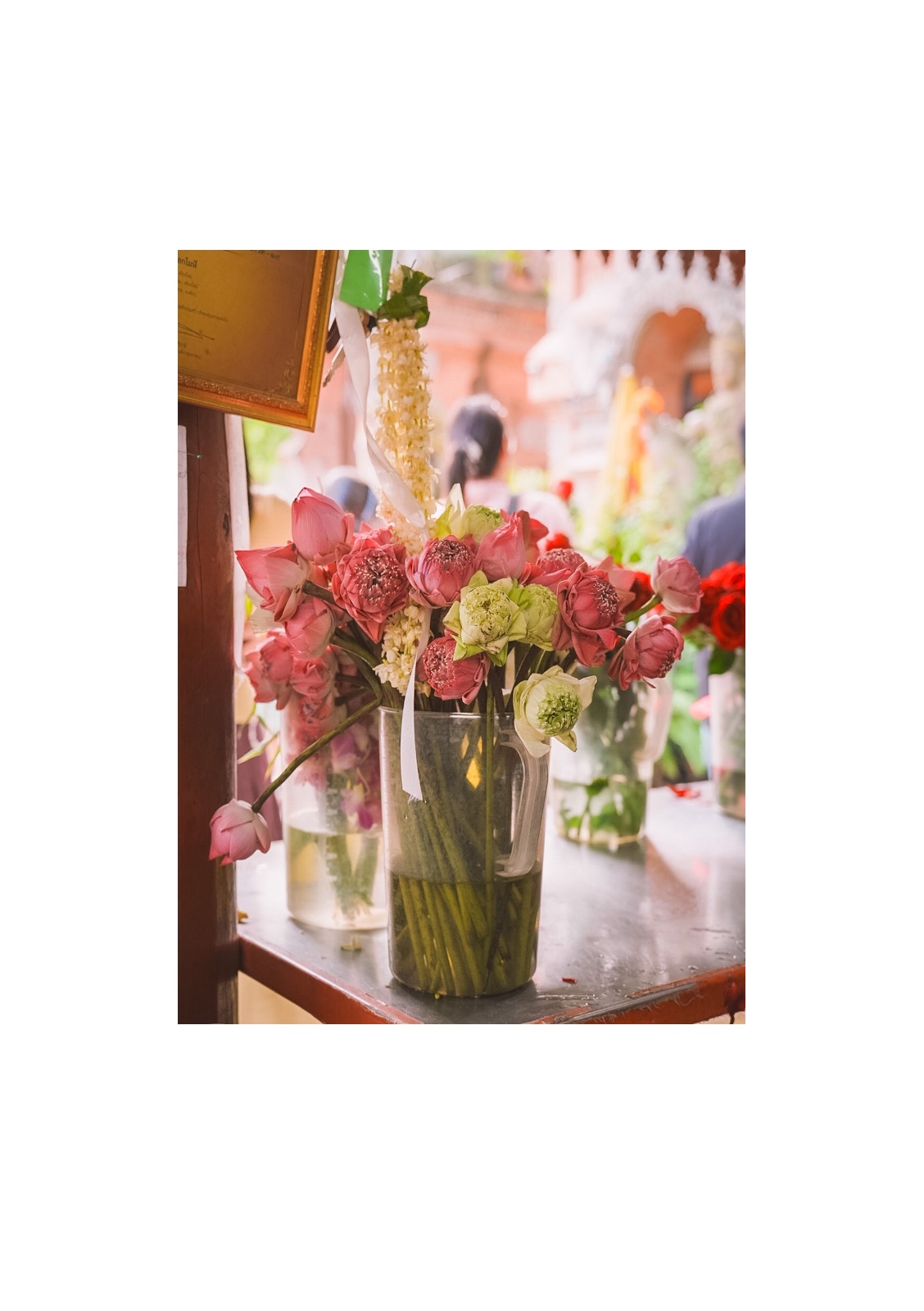 lotus — หน้า 48