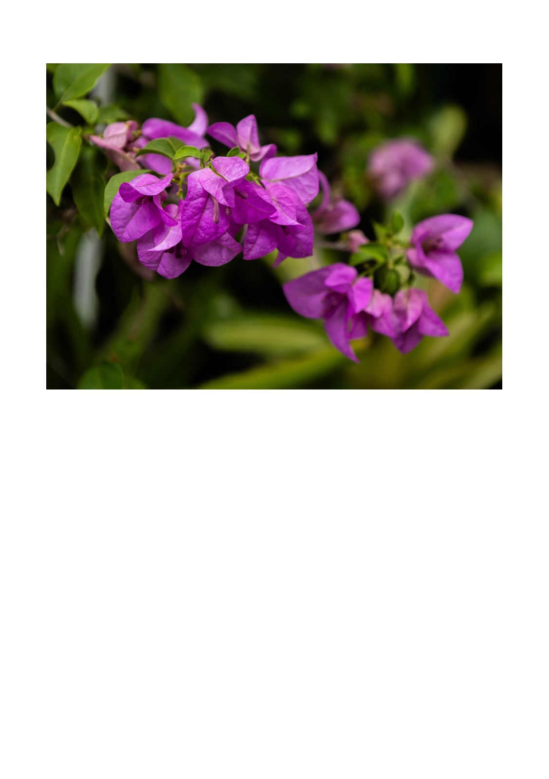 COLOR HUNTING — 第 12 页