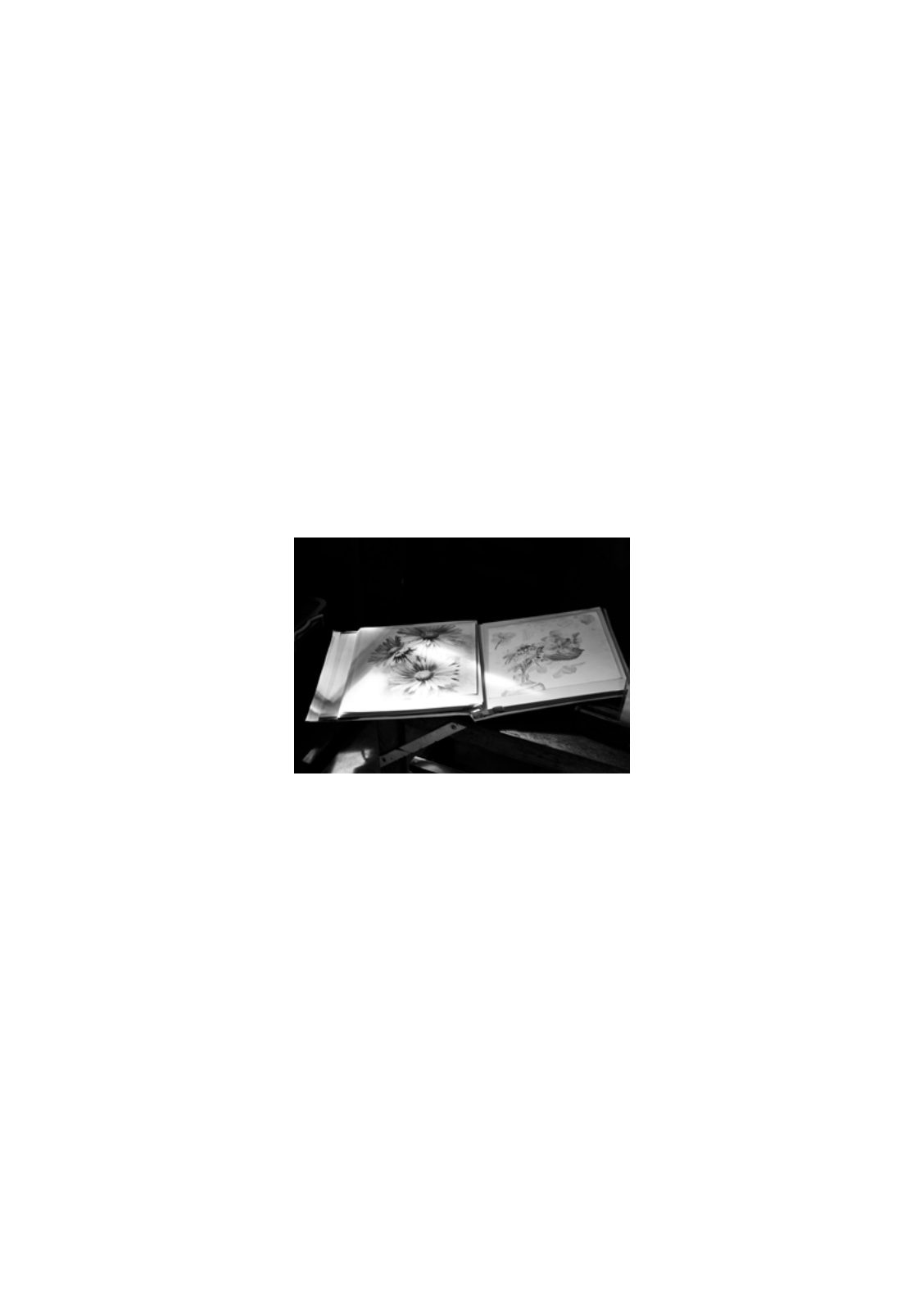 PENUMBRA — หน้า 7