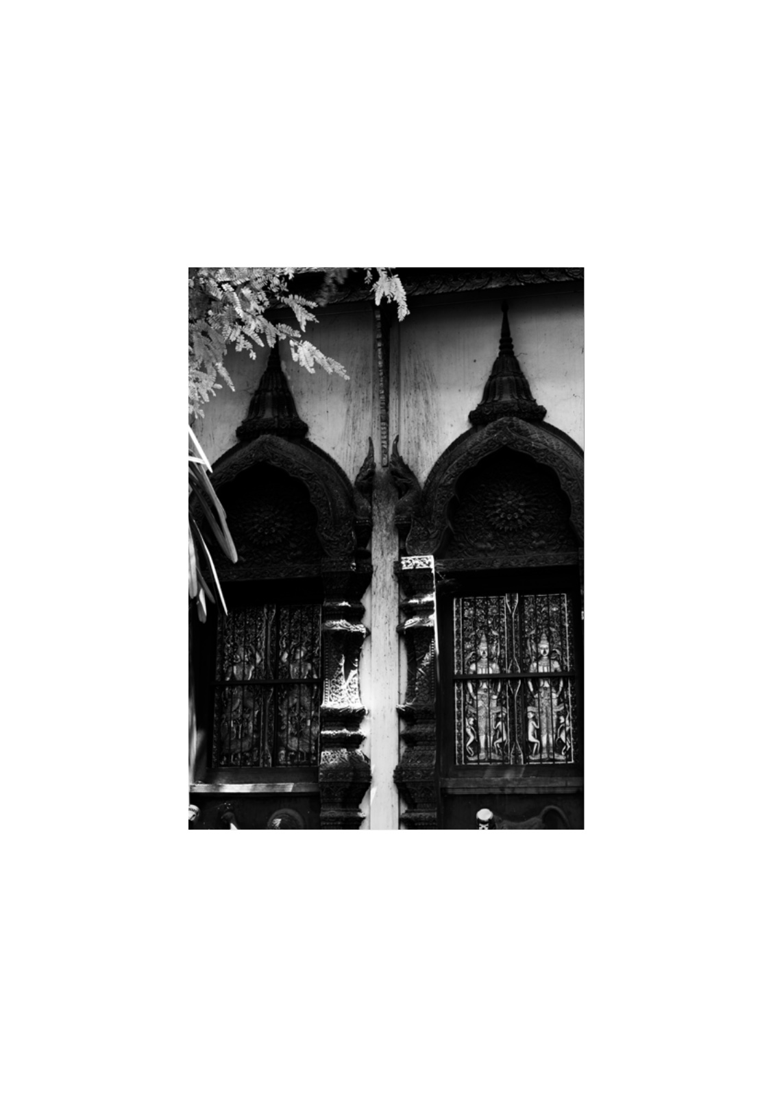 PENUMBRA — หน้า 20