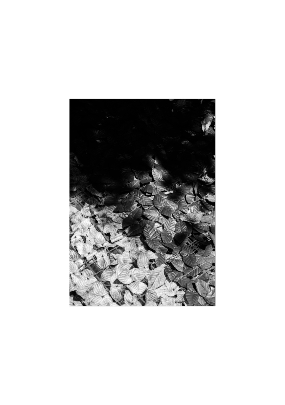 PENUMBRA — หน้า 26