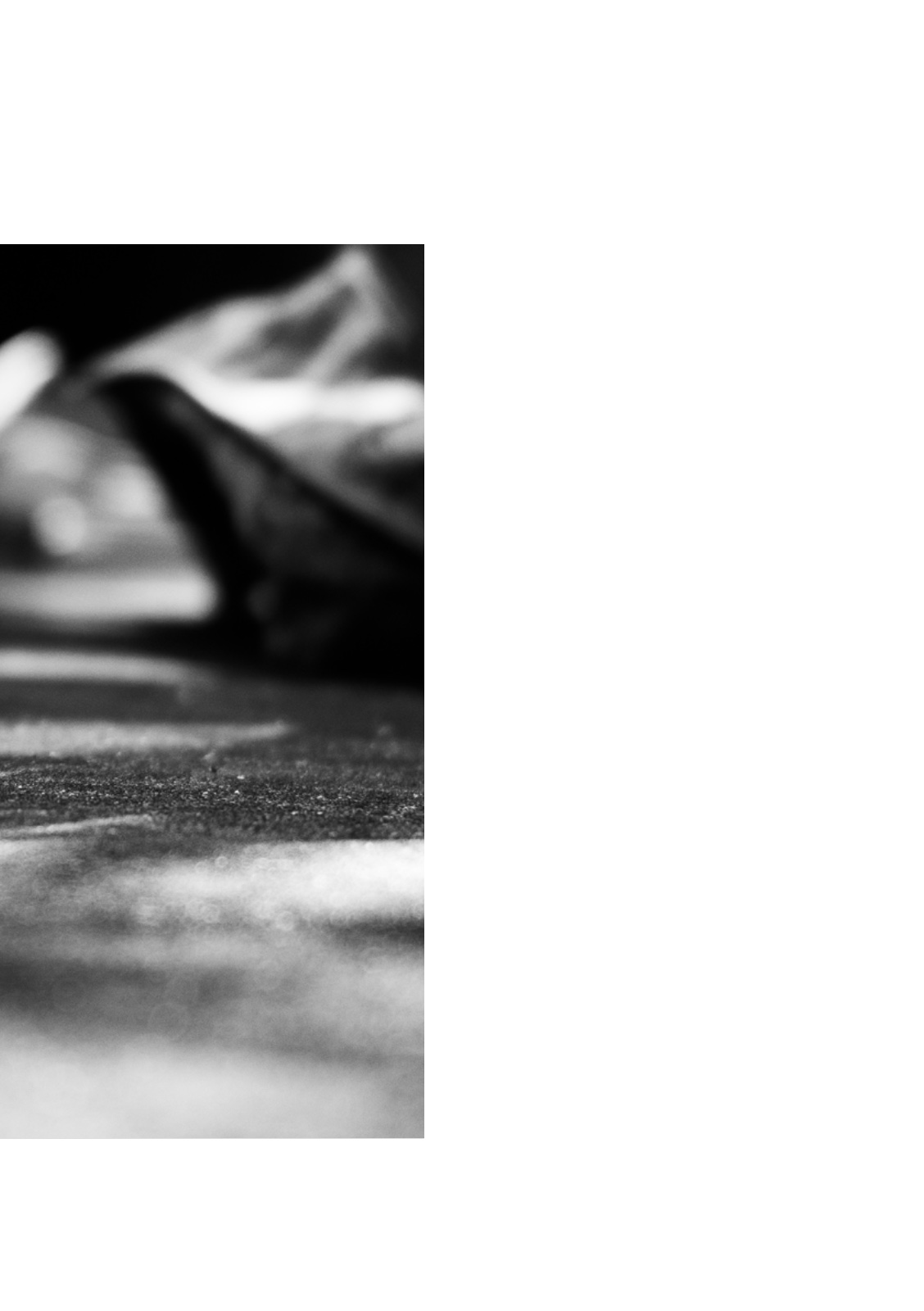 PENUMBRA — หน้า 31
