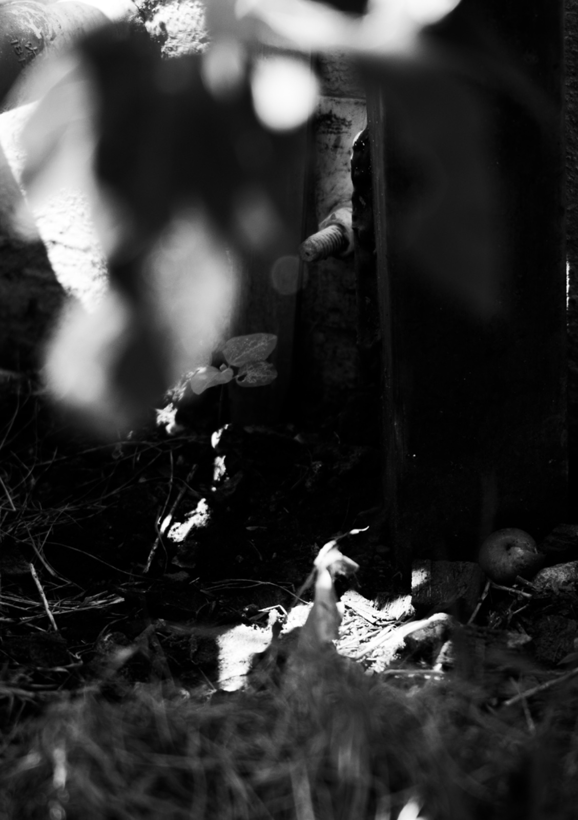 PENUMBRA — หน้า 34