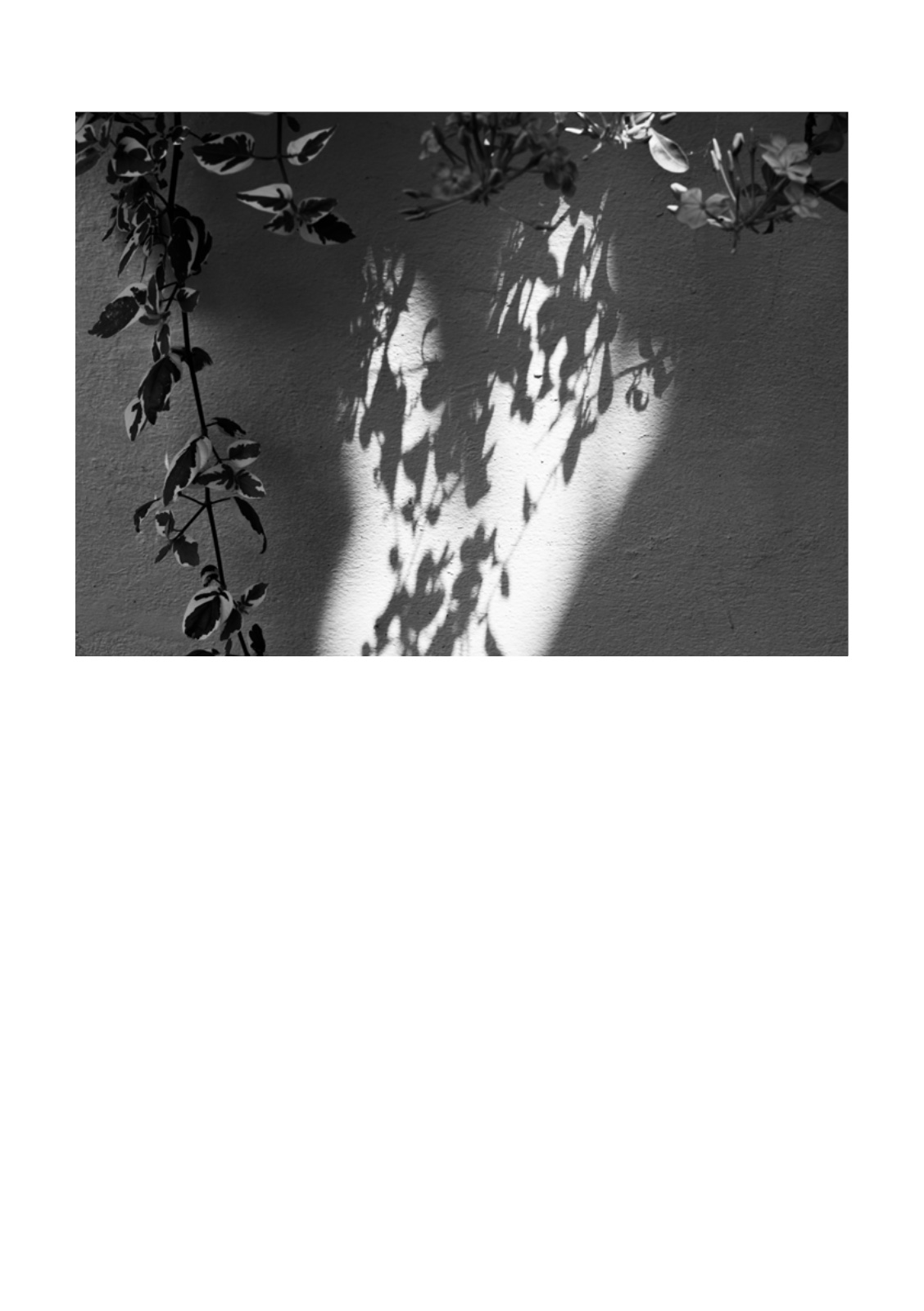 PENUMBRA — หน้า 42
