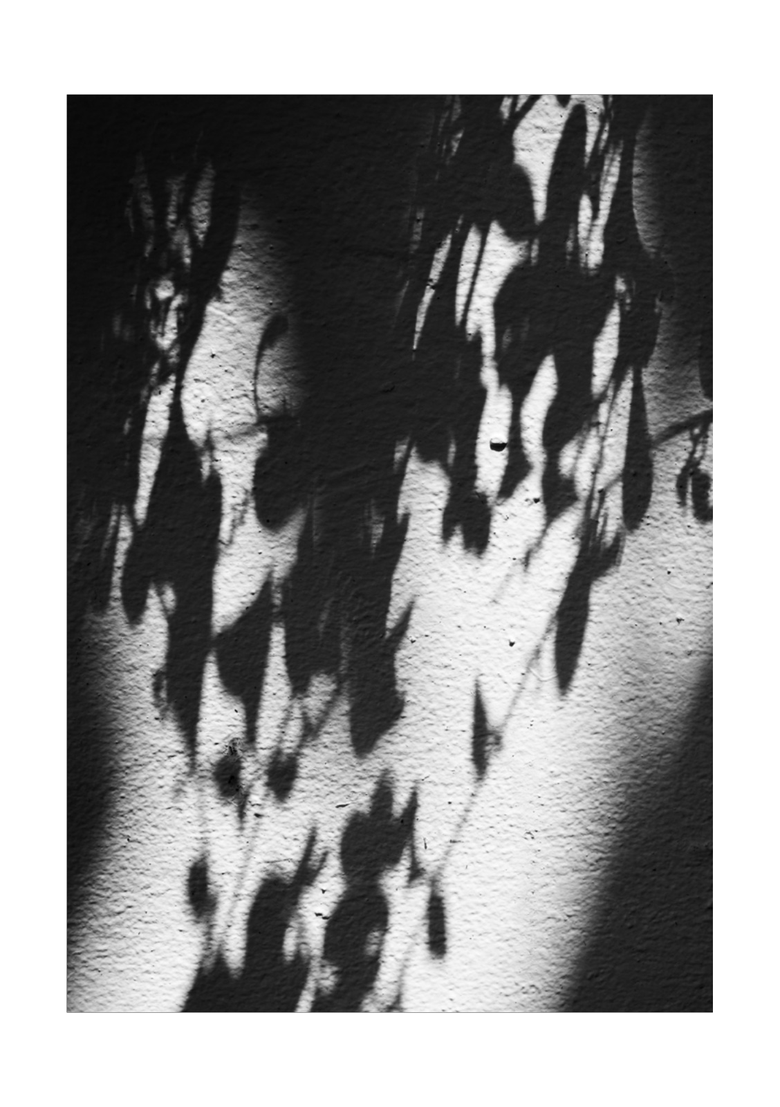 PENUMBRA — หน้า 43