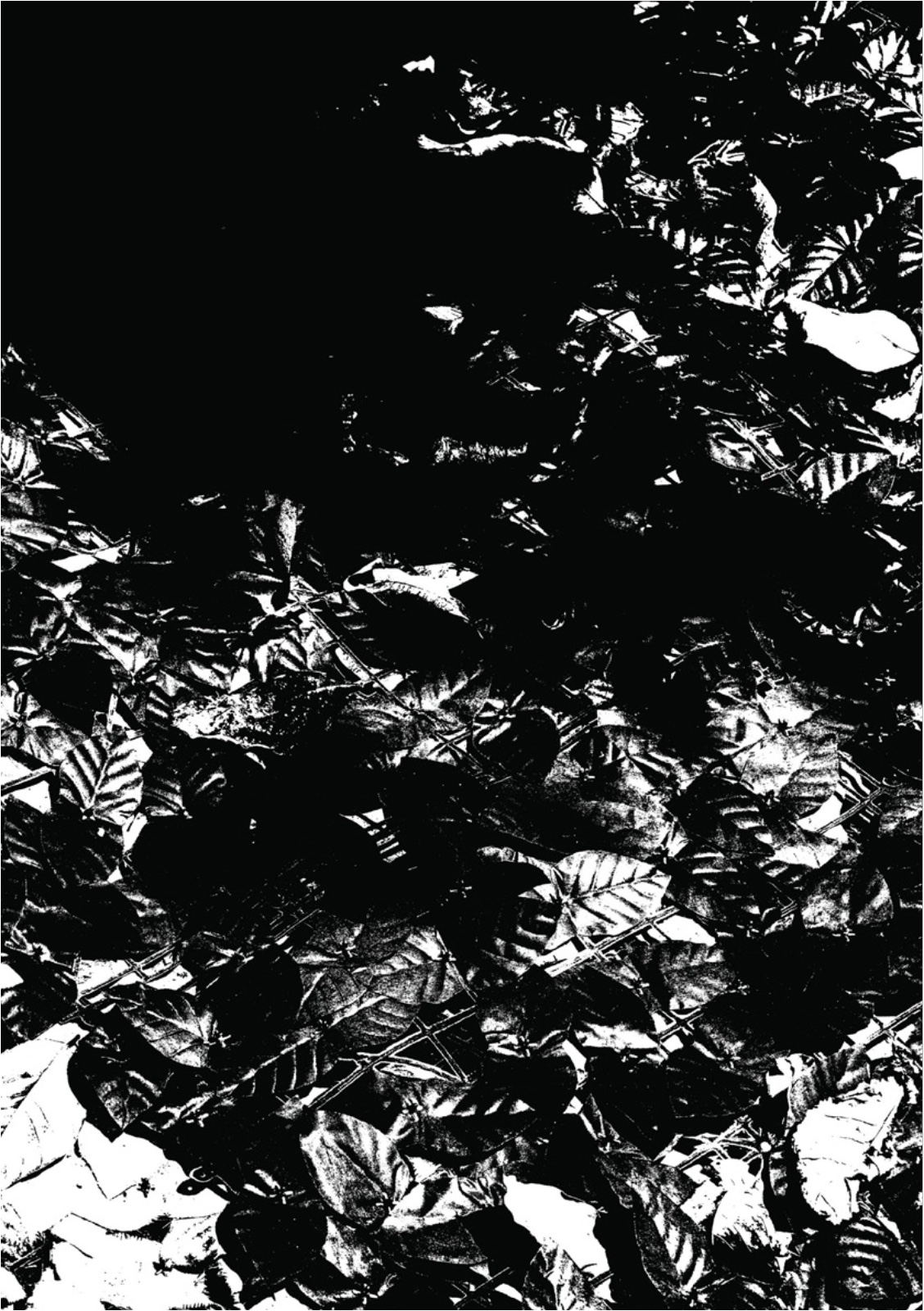 PENUMBRA — หน้า 52