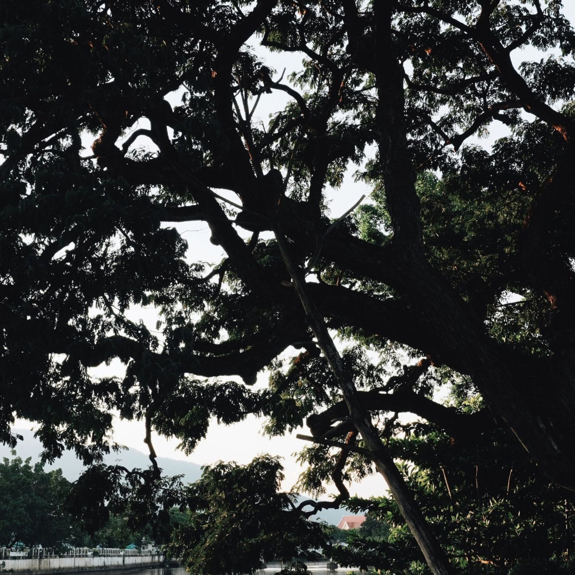 rAin — 第 4 页