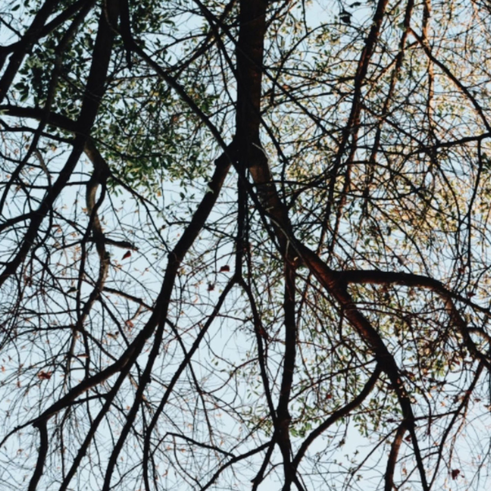 rAin — 第 12 页