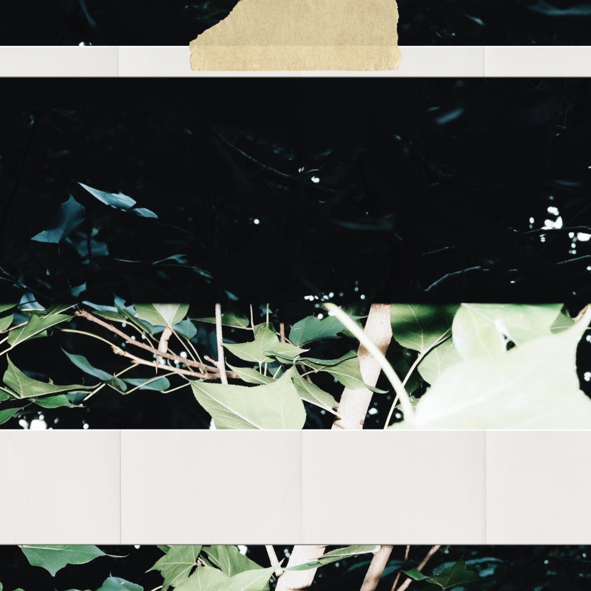 rAin — 第 13 页