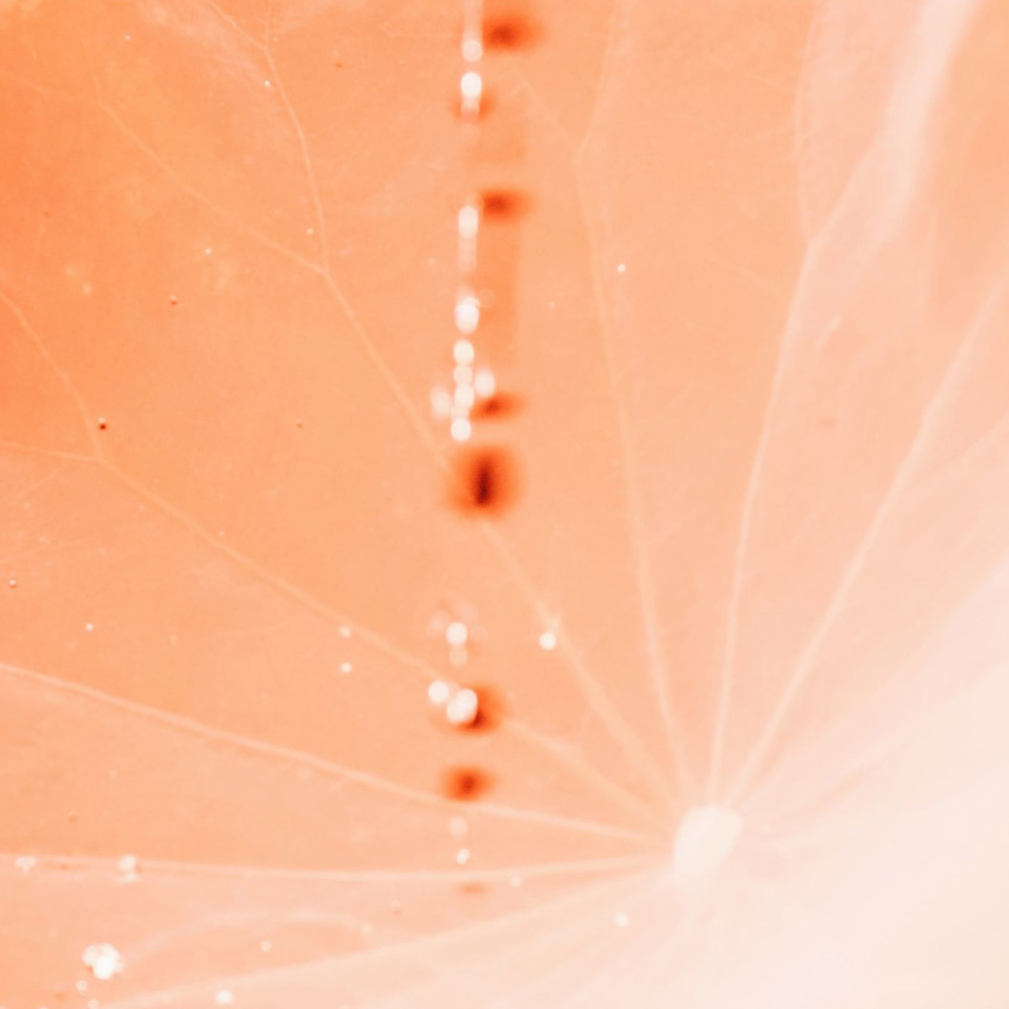 rAin — 第 27 页