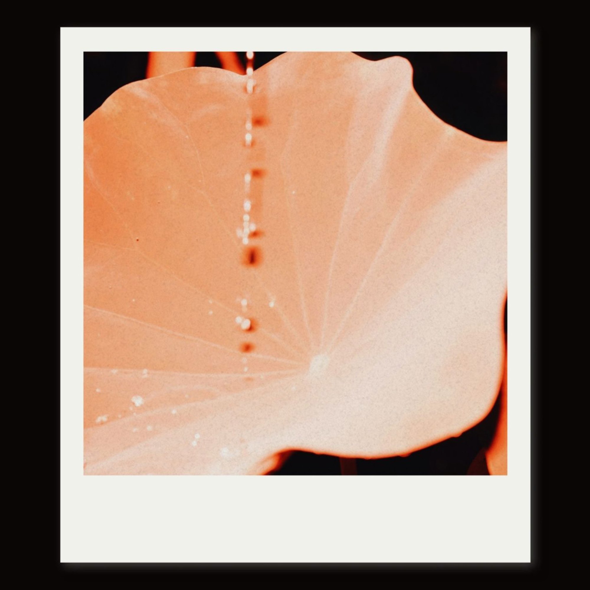 rAin — 第 28 页