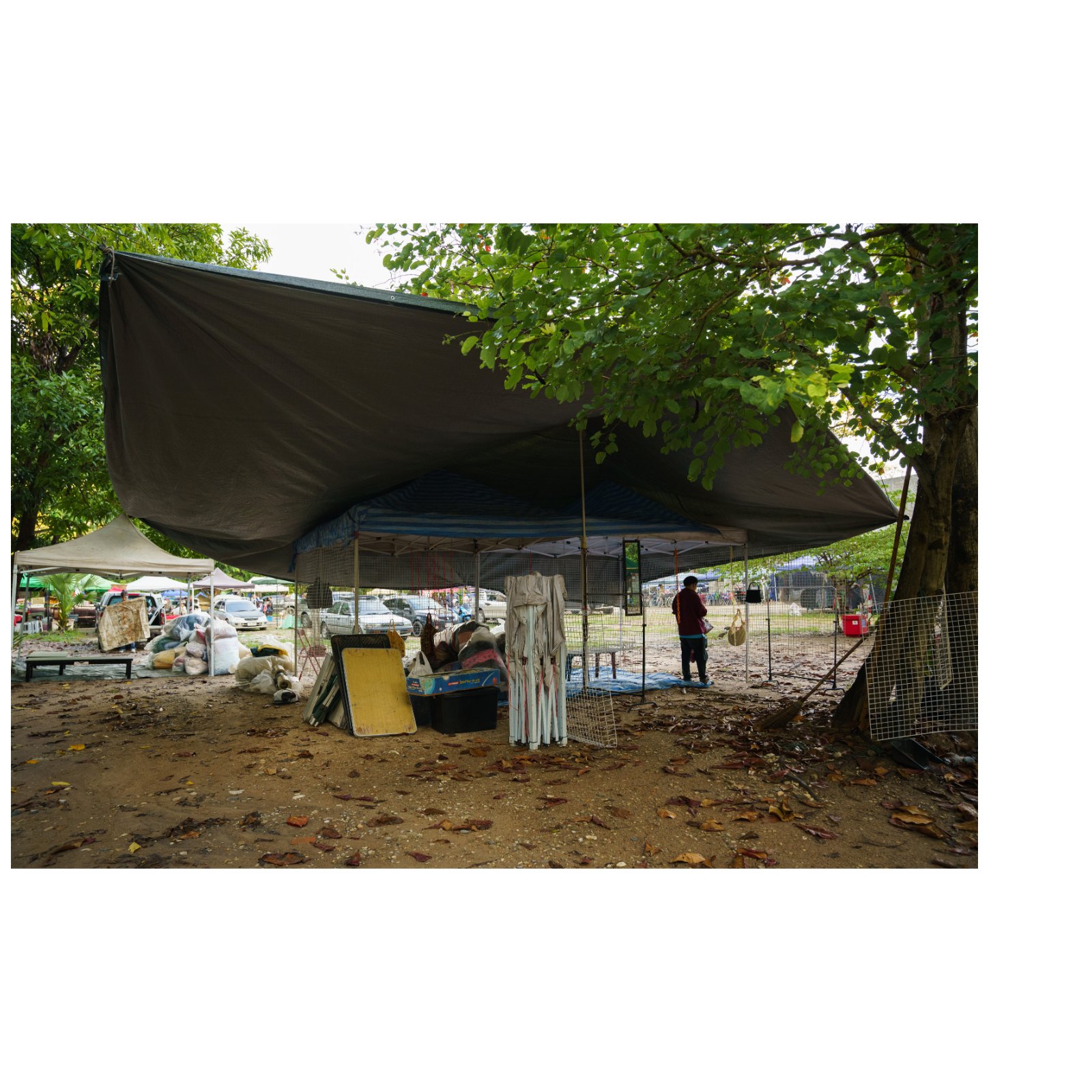Nong ho market — หน้า 9