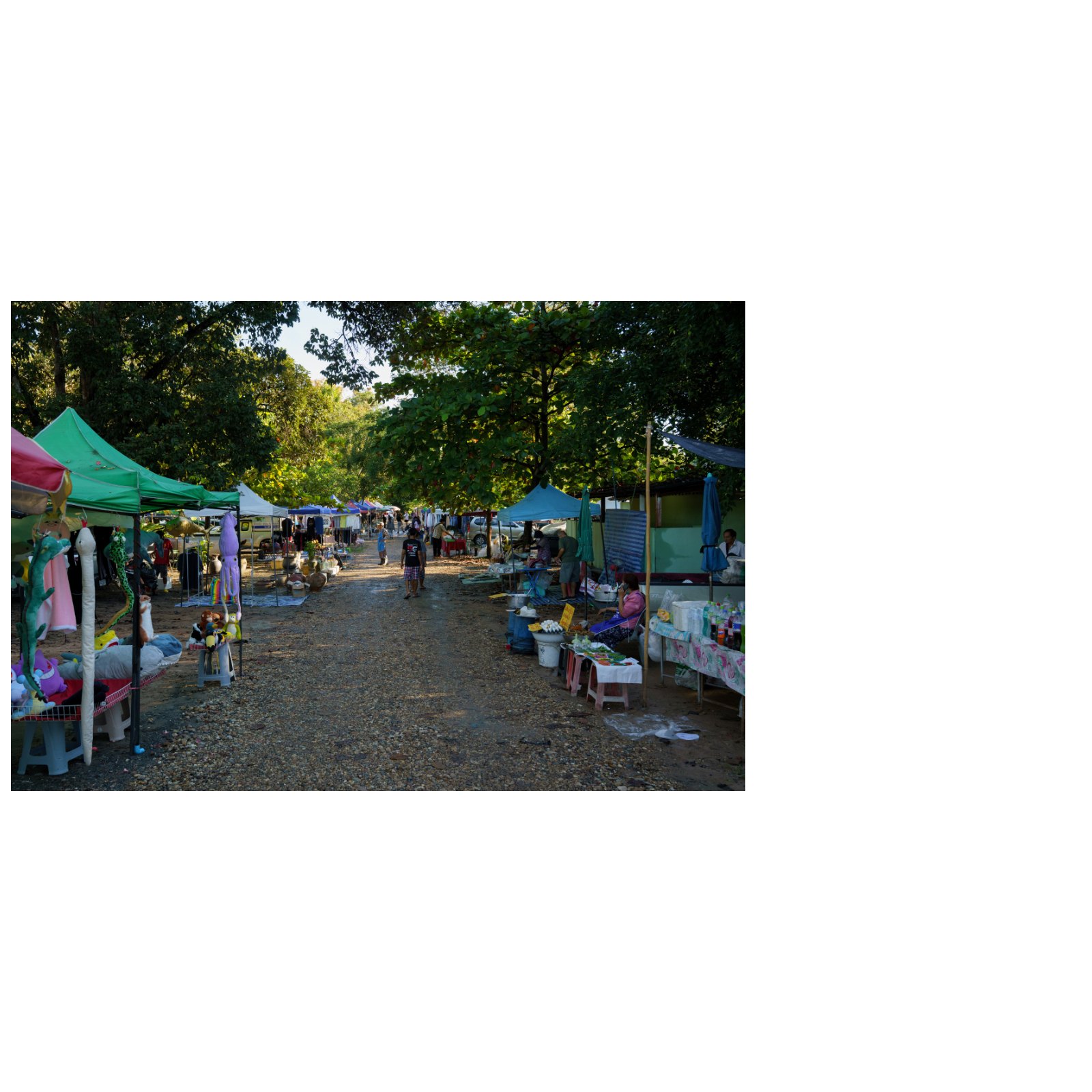 Nong ho market — หน้า 26
