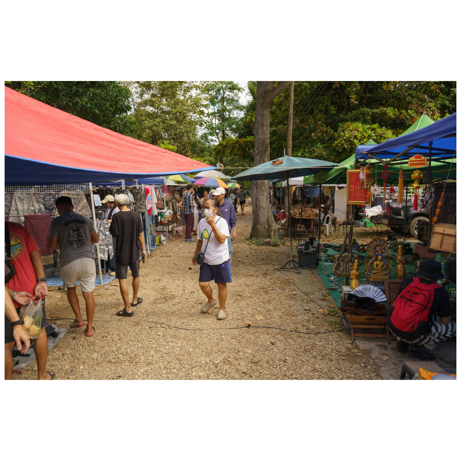 Nong ho market — หน้า 48