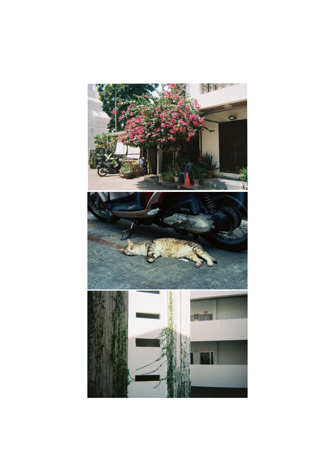 Then, still — หน้า 6
