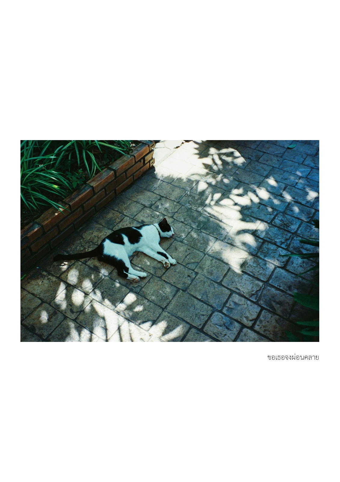 Then, still — หน้า 21