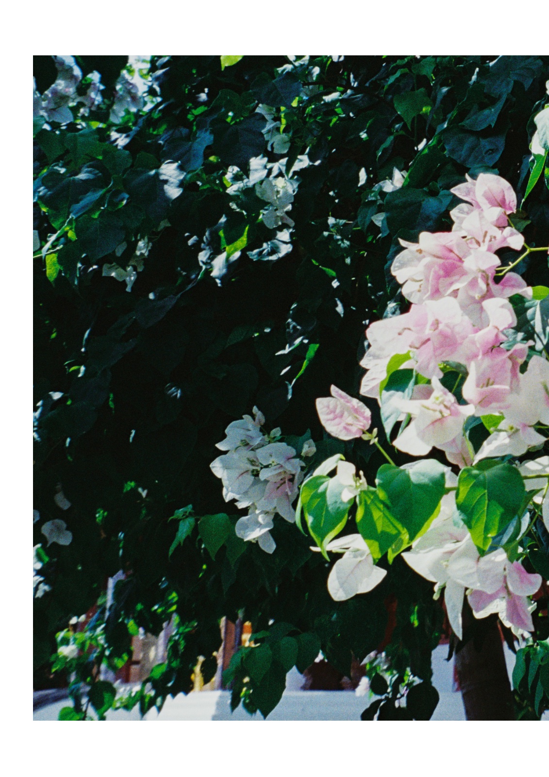 Then, still — หน้า 26