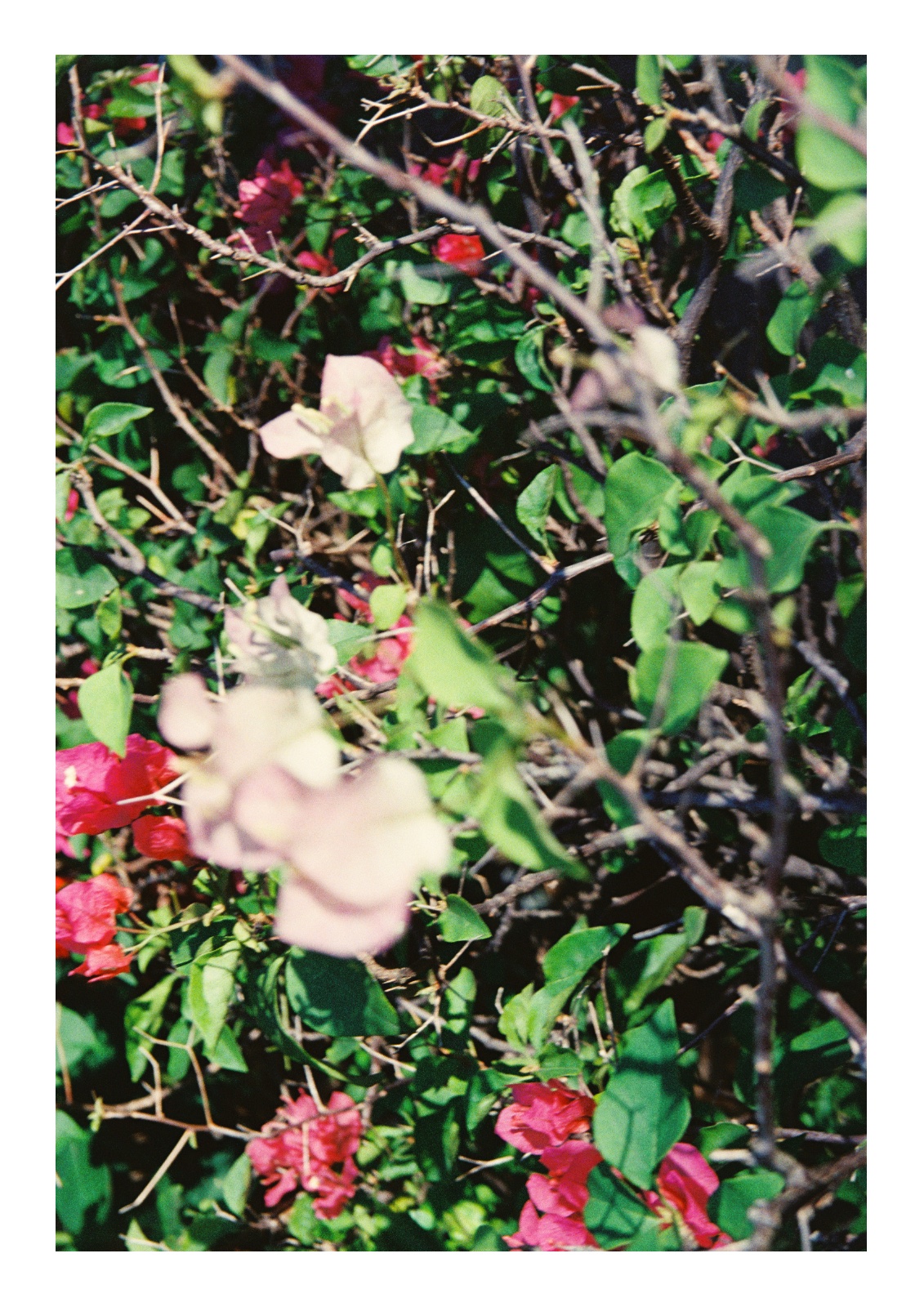 Then, still — หน้า 34