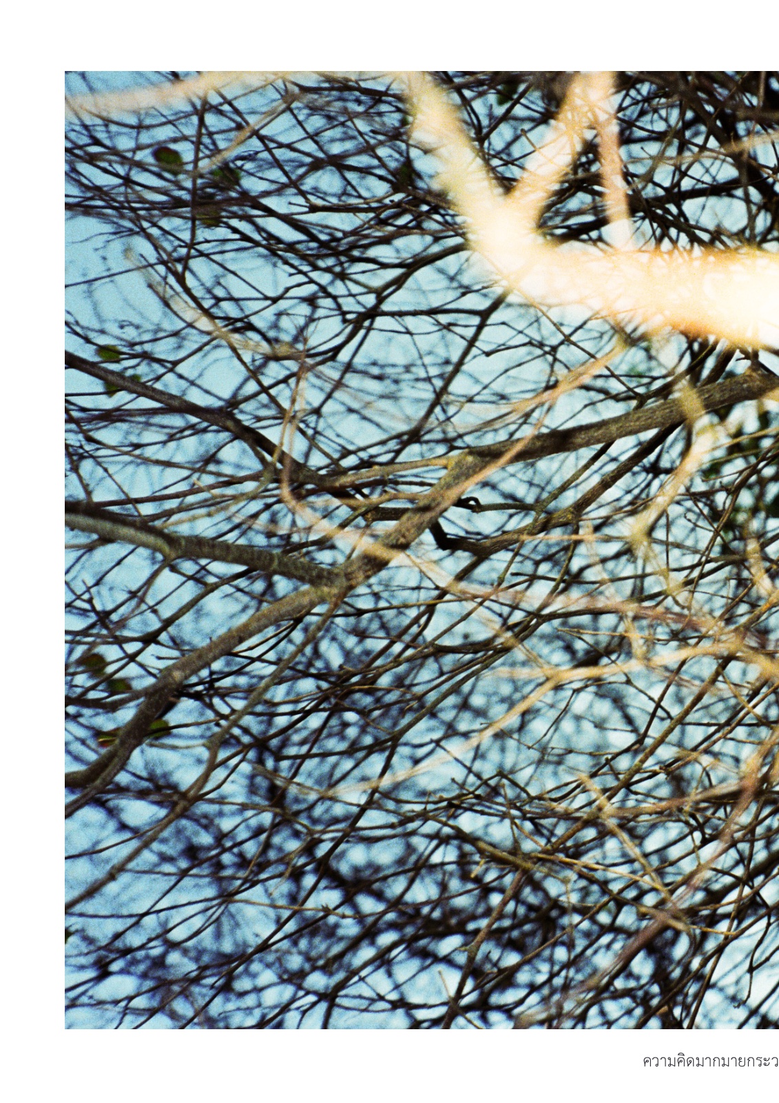 Then, still — หน้า 42