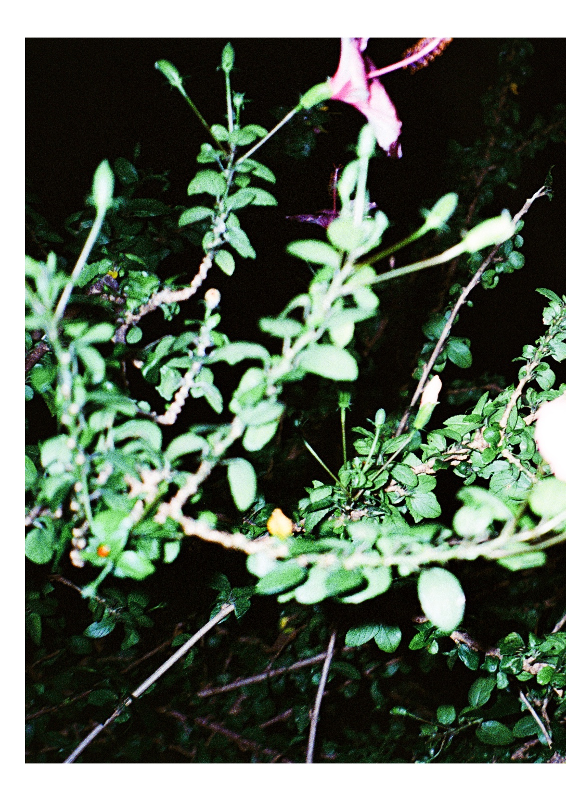 Then, still — หน้า 48