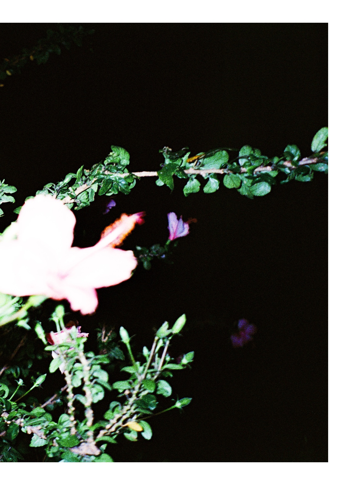 Then, still — หน้า 49