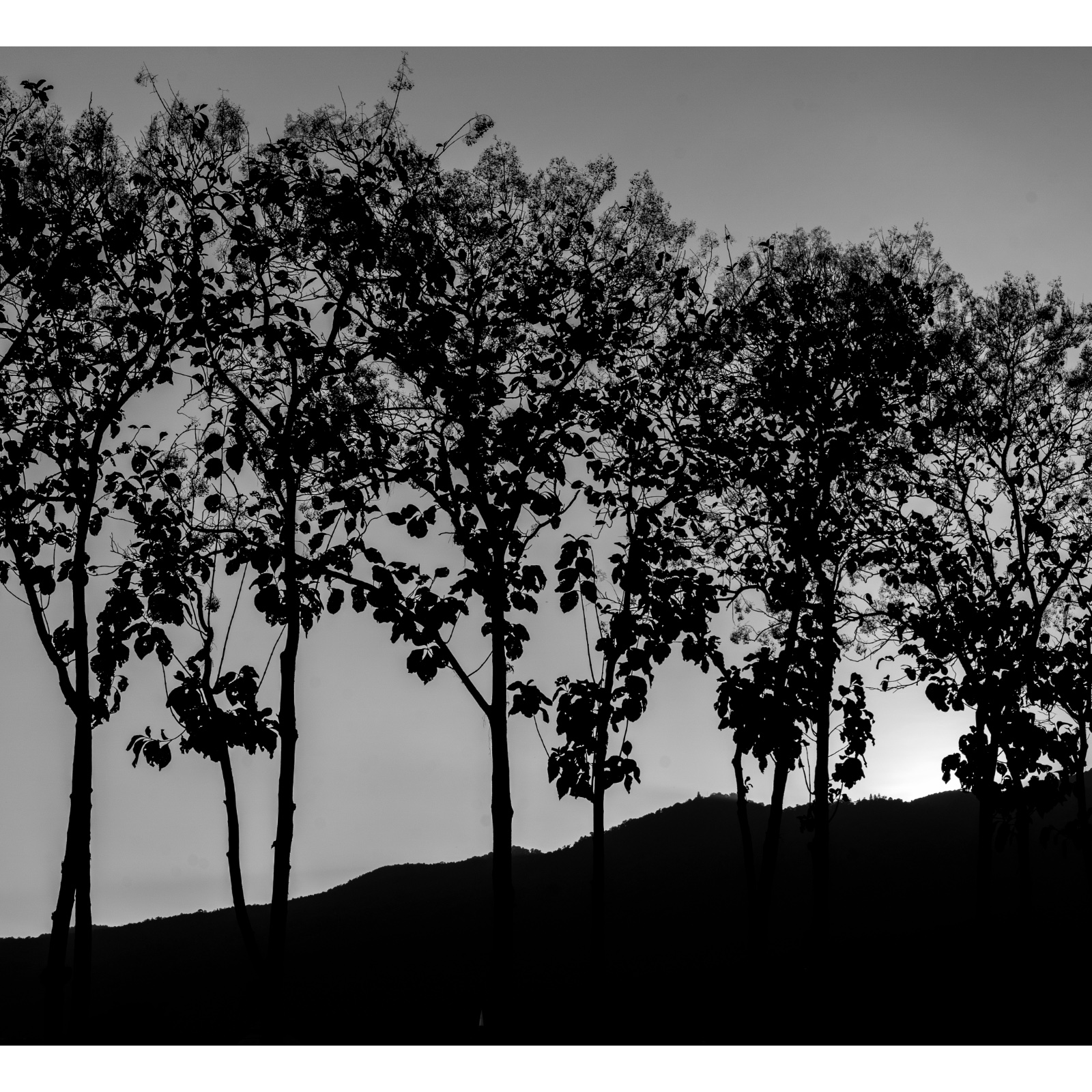 Le voyage — หน้า 44