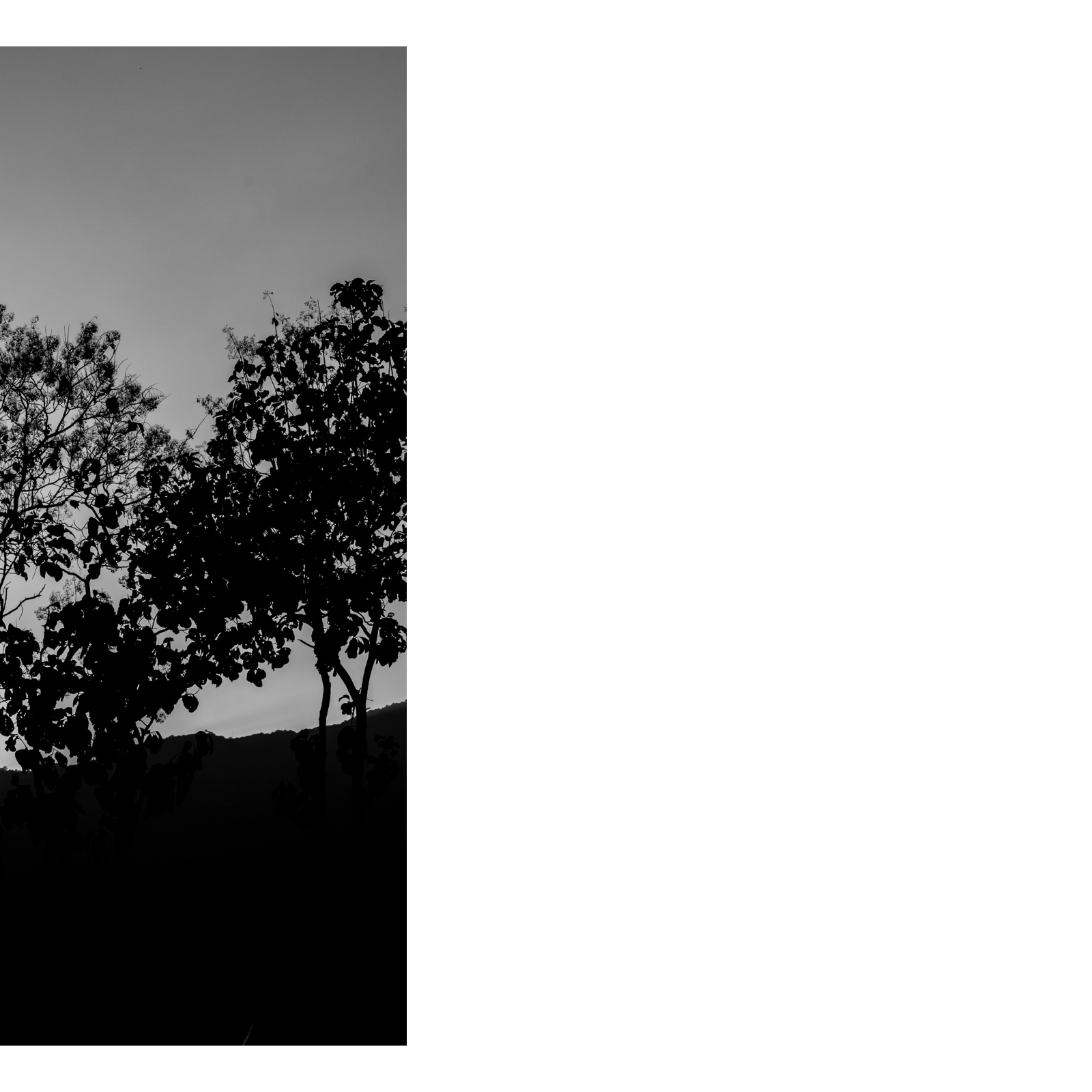 Le voyage — หน้า 45