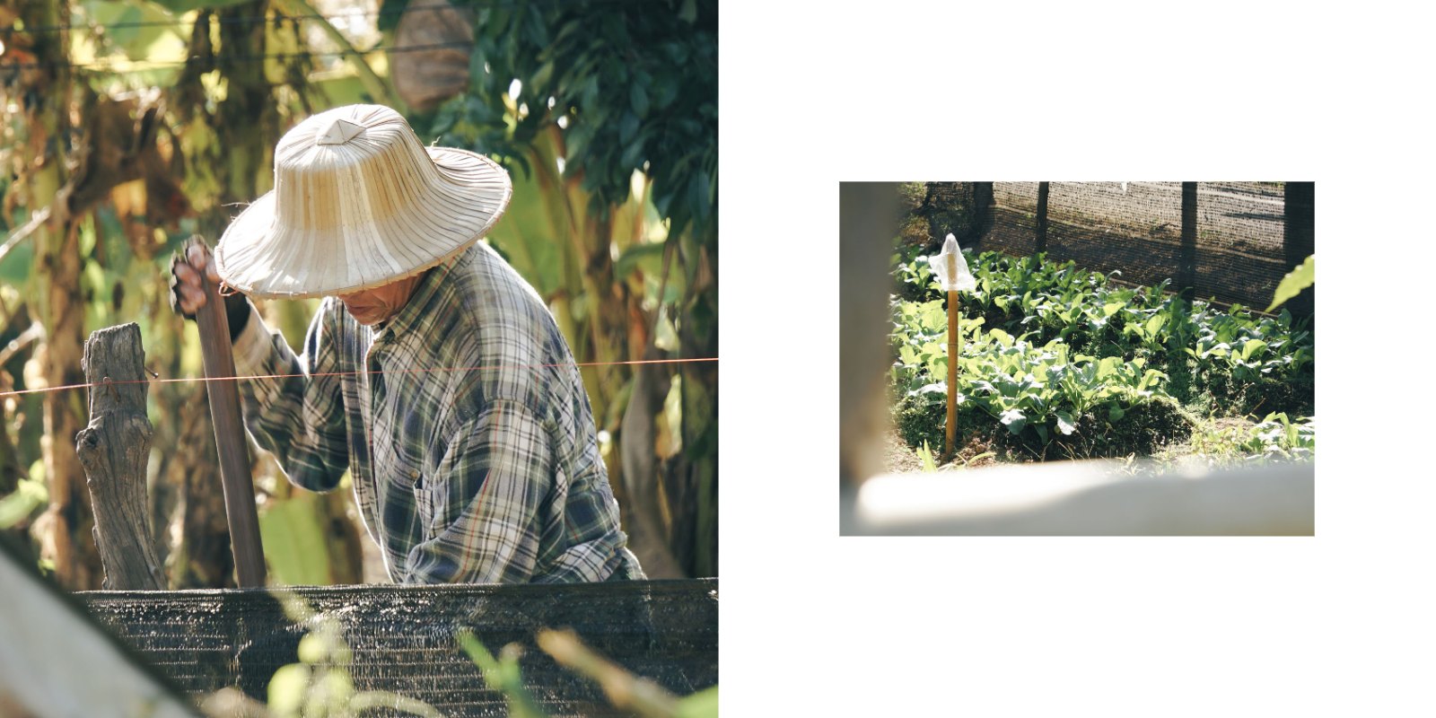 Distance of Growth — หน้า 4