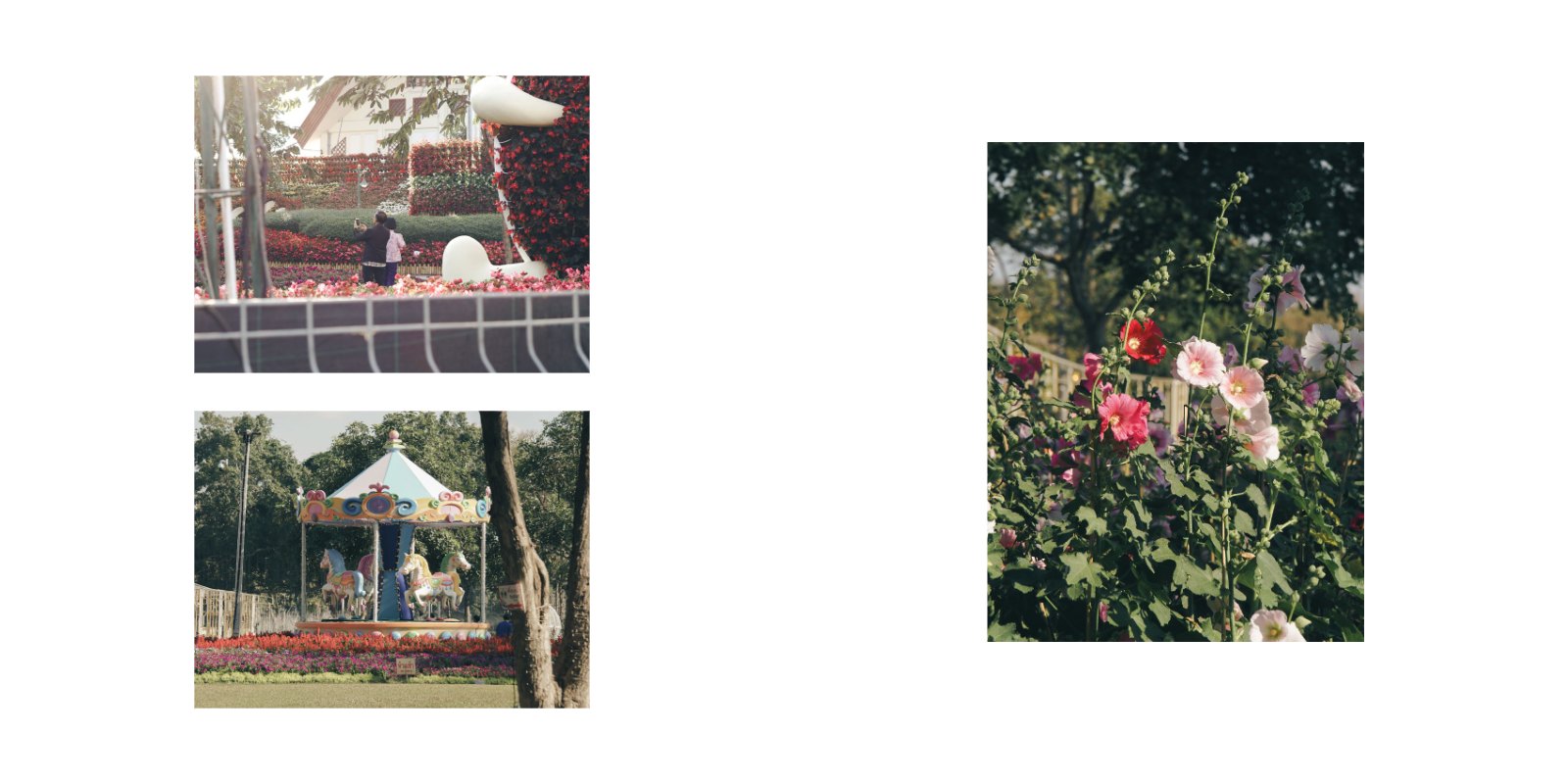 Distance of Growth — หน้า 14