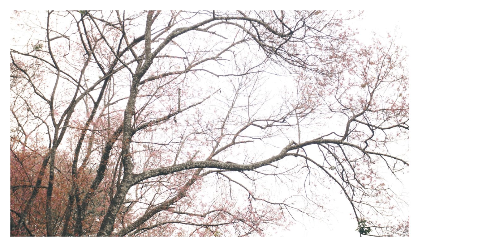 Distance of Growth — หน้า 20