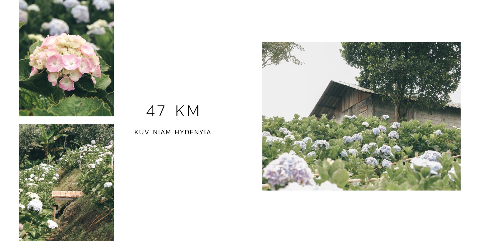 Distance of Growth — หน้า 21