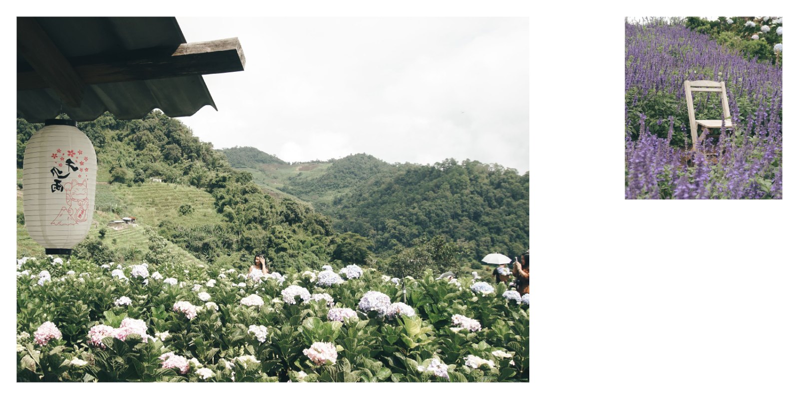 Distance of Growth — หน้า 23