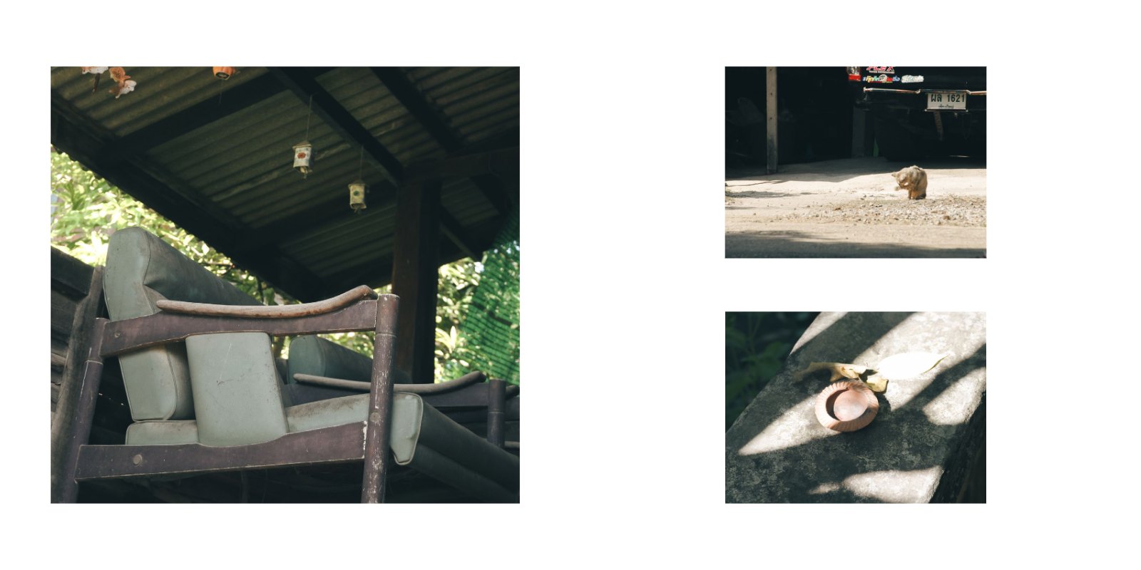 Distance of Growth — หน้า 31